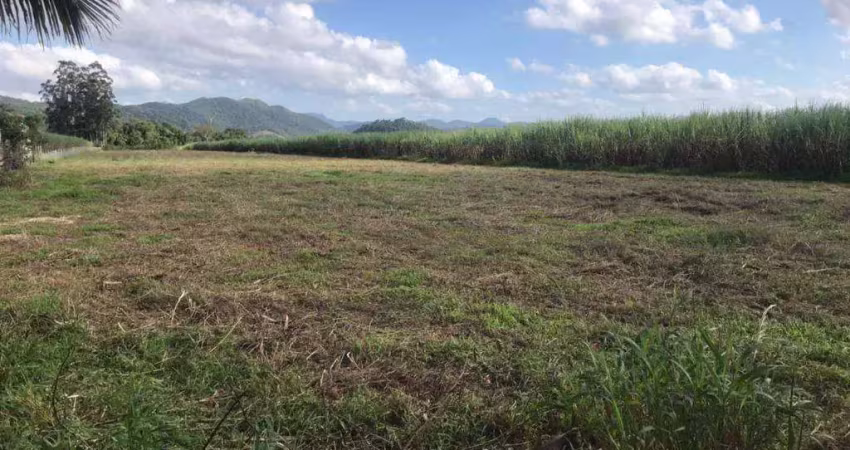 Terreno rodovia jorge lacerda  (( 55.000 m² )) - aluga ou vende - gaspar/sc