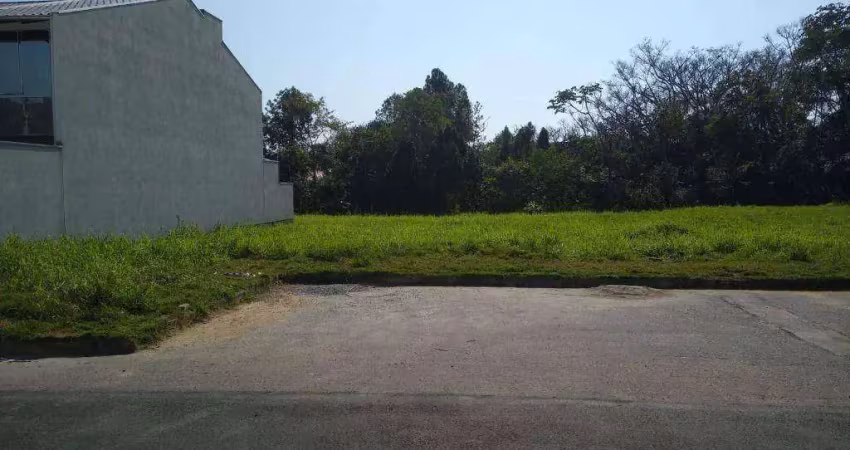 Terreno à venda na Rua Hugo Hoffmann, Velha, Blumenau