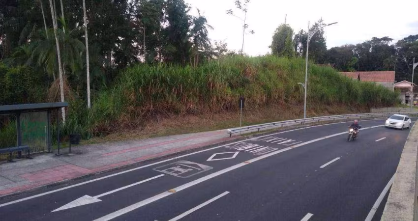 Terreno à venda, 3600 m² - Velha - Blumenau/SC