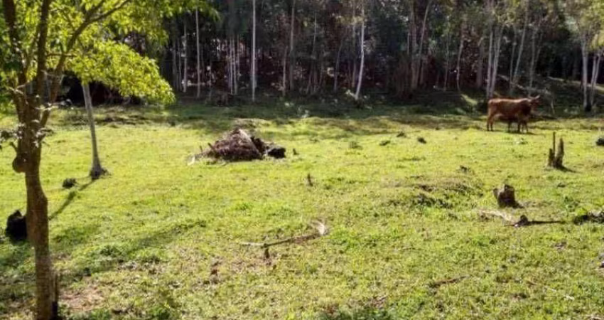 Terreno à venda, 43.356 m² - itoupava central - blumenau/sc