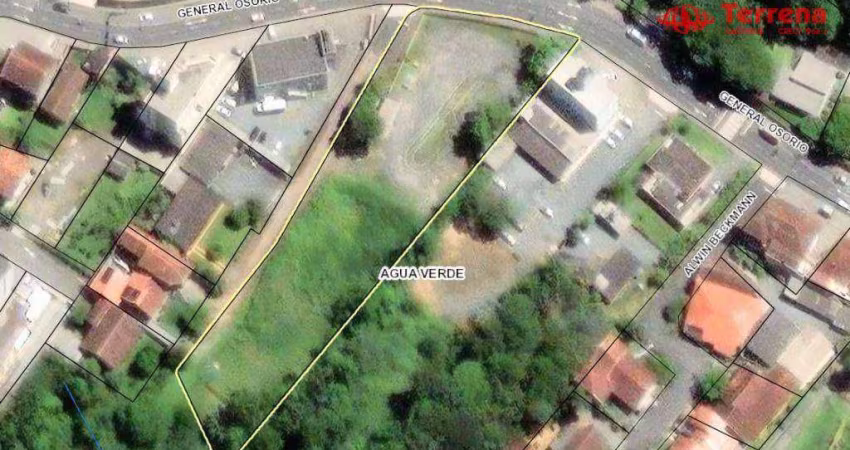 Terreno à venda, 4.509 m² - Velha - Blumenau/SC