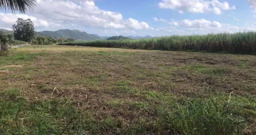 Terreno rodovia jorge lacerda  (( 55.000 m² )) - aluga ou vende - gaspar/sc