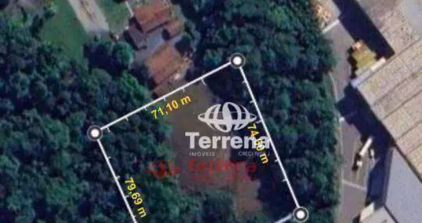 Terreno à venda, 5544 m² - salto weissbach - blumenau/sc