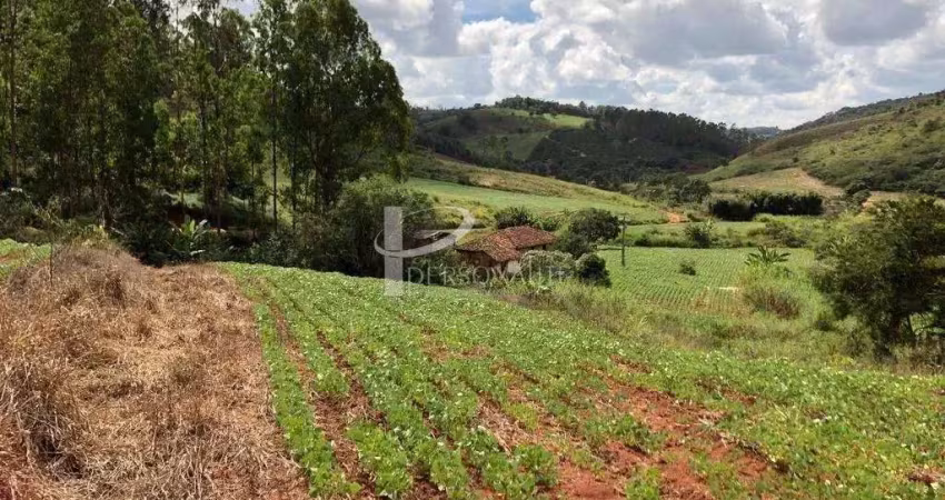 Chácara / sítio à venda na BOM JARDIM, Centro, Teixeiras