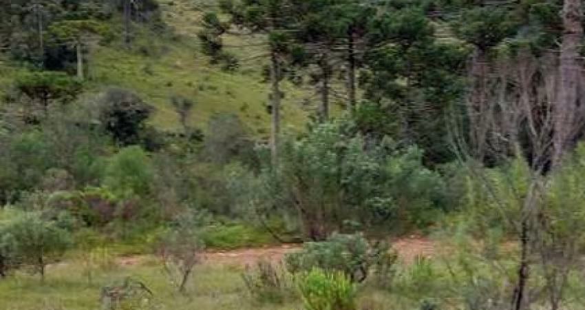 área rural com 10 hectares,  na localidade de Pericó em São Joaquim