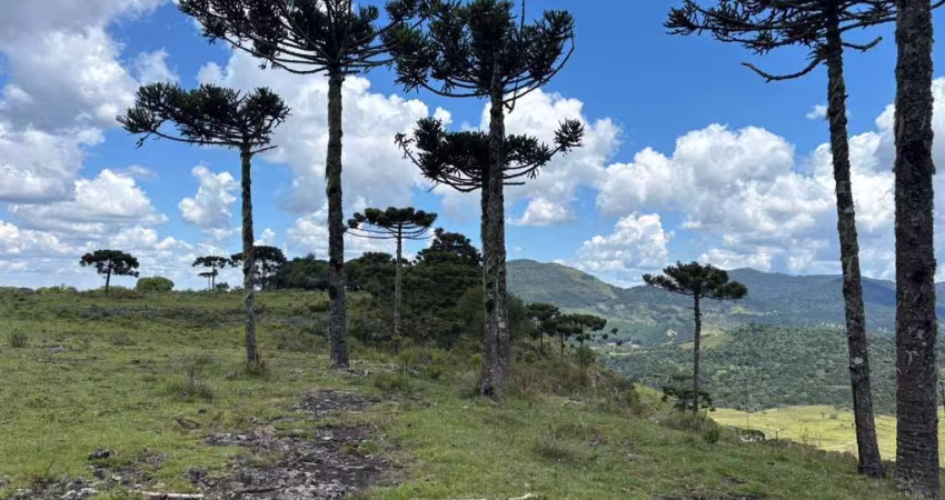 Linda área de 2 hectares, com a melhor vista de altitude da região de Urubici