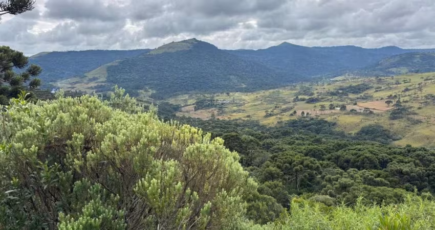 Área rural na Serra Catarinese, com 42 Hectares com excelente aproveitamento