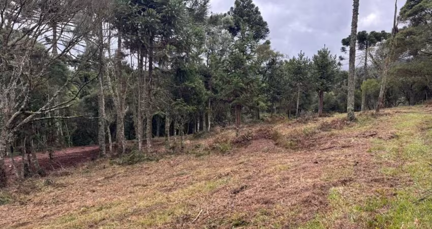 Área de 2 hectares à venda em Urubici – Localidade de Santa Tereza