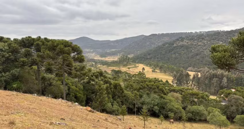 Área com 20.000 m² à venda – terreno em vacas gordas, urubici/sc