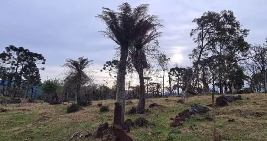 Área de 14 hectares no vacariano de fácil acesso, próximo a urubici, rio rufino