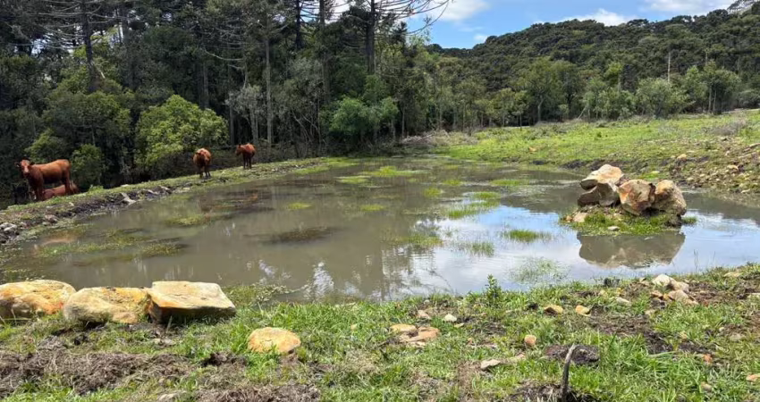 3 ha localizada na tranquila e charmosa localidade de pericó proximo a urubici