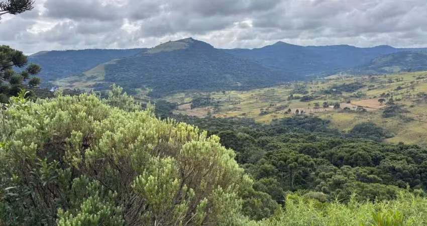 Área rural na serra catarinese, com 42 hectares com excelente aproveitamento