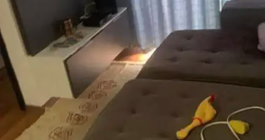 Apartamento para venda em são paulo, jardim belem, 2 dormitórios, 1 banheiro, 1 vaga