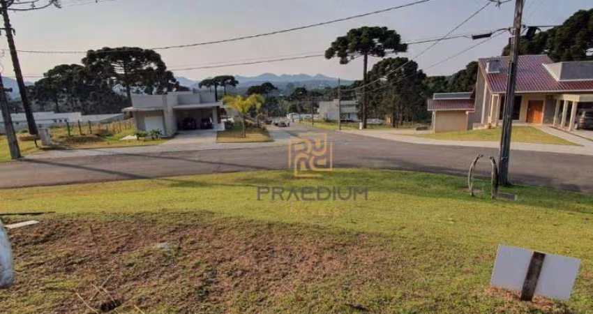 Terreno à venda, 1001 m² por R$ 770.000,00 - Vila Fuck - Piraquara/PR