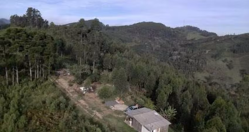 Chácara com 2 dormitórios à venda, 48400 m² por R$ 650.000,00 - Campo Magro - Campo Magro/PR