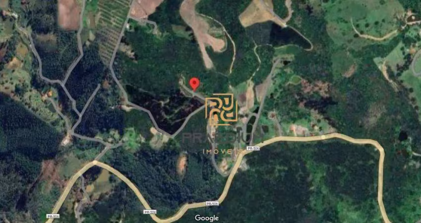 Chácara com 1 dormitório à venda, 7000 m² por R$ 115.000,00 - Palmital - Bocaiúva do Sul/PR