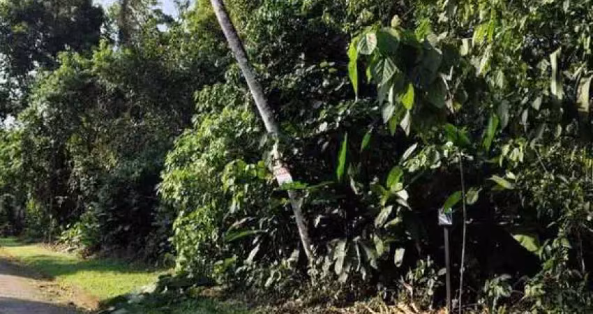 Oportunidade: lote no prestigiado condomínio mar verde, litoral norte paulista
