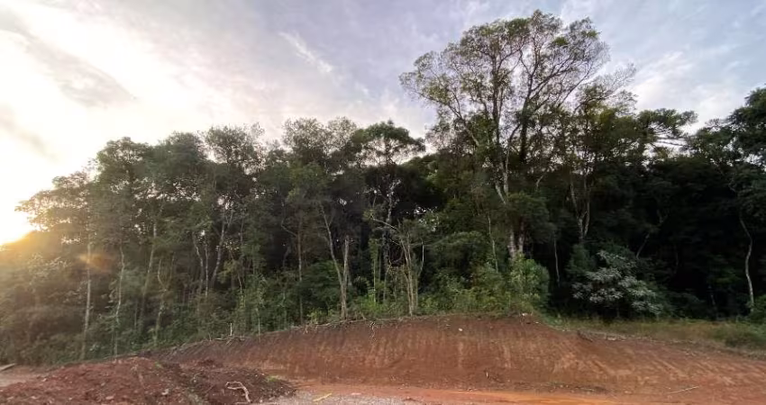 Terreno à venda na Rua Santo Bortolini, Bela Vista, Caxias do Sul