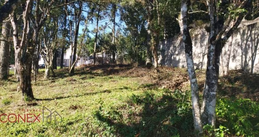 Terreno à venda na Rua Ruy José Bisol Filho, 17, Ana Rech, Caxias do Sul