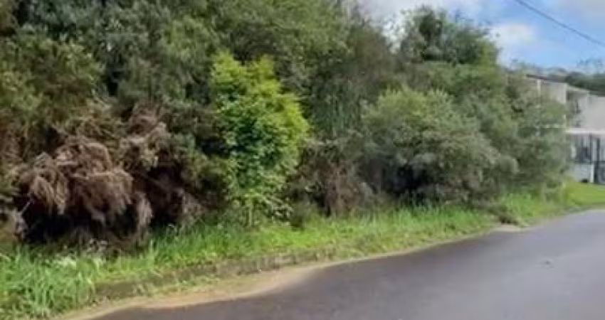 Terreno à venda na Rua Vitória Stella, 01, América, Farroupilha