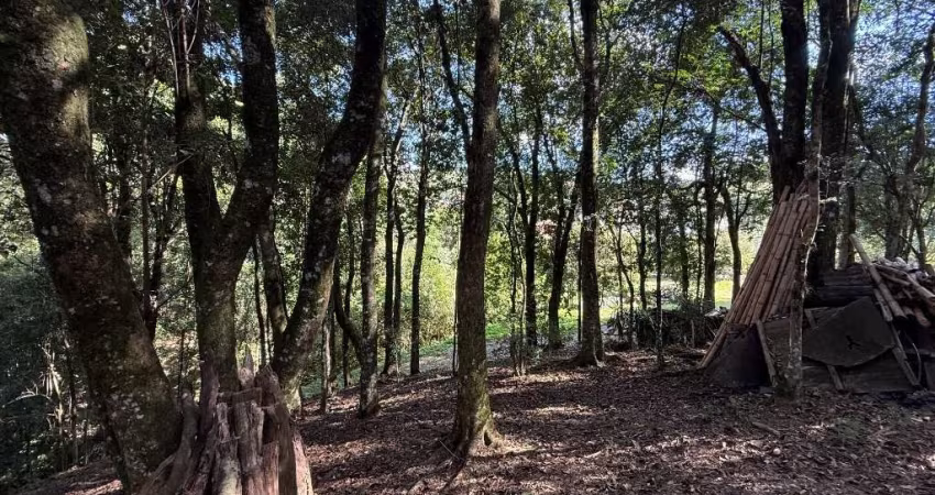 Terreno à venda na Luiz Rossato Primo, Salgado Filho, Caxias do Sul