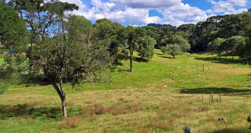 Área de terras com 2 hectares a 15 minutos do centro da cidade de farr