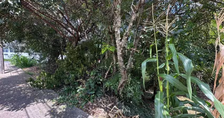 Terreno à venda no São Roque, Bento Gonçalves 
