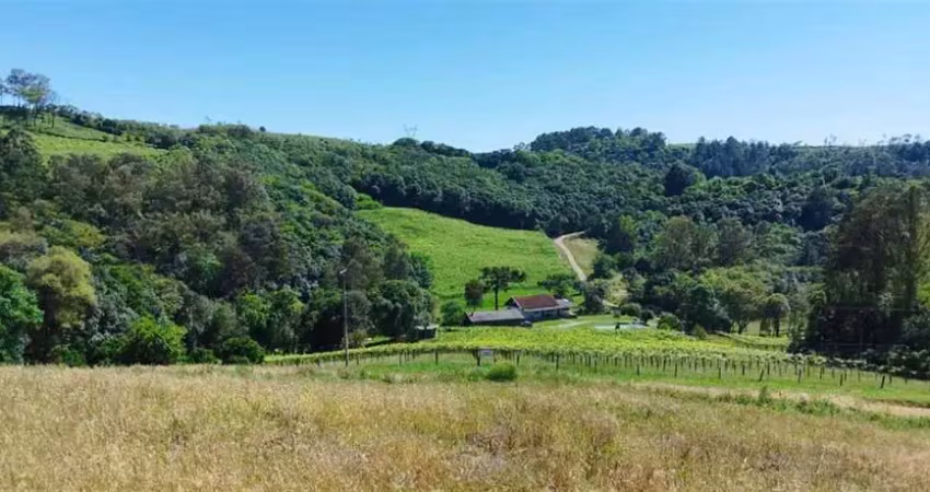 Terreno à venda no Desvio Rizzo, Caxias do Sul 