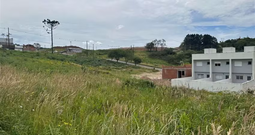 Terreno à venda no Monte Verde, Farroupilha 