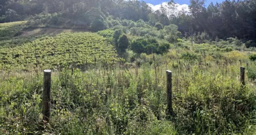 Terreno à venda no Santa Corona, Caxias do Sul 