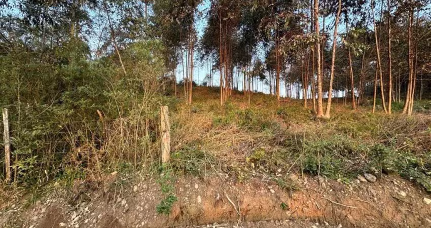 Terreno à venda no Nova Sardenha (Distrito), Farroupilha 