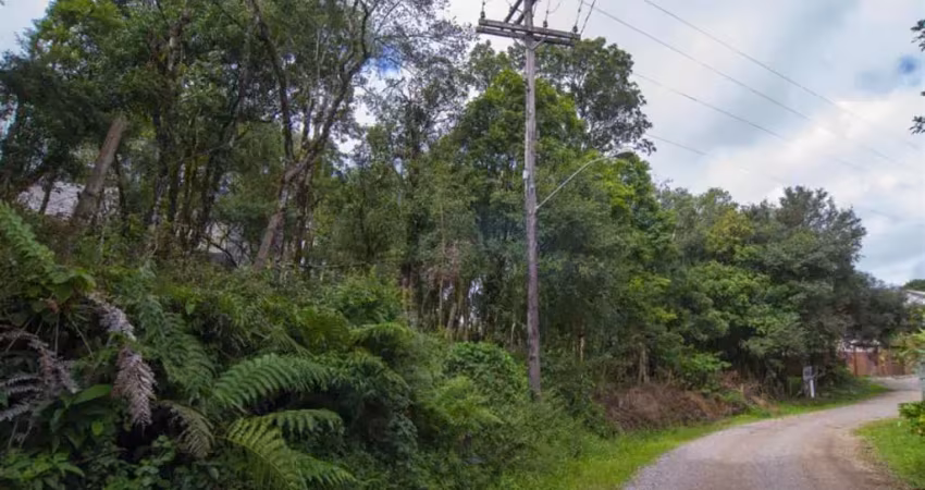 Terreno à venda em Serrano, Caxias do Sul 