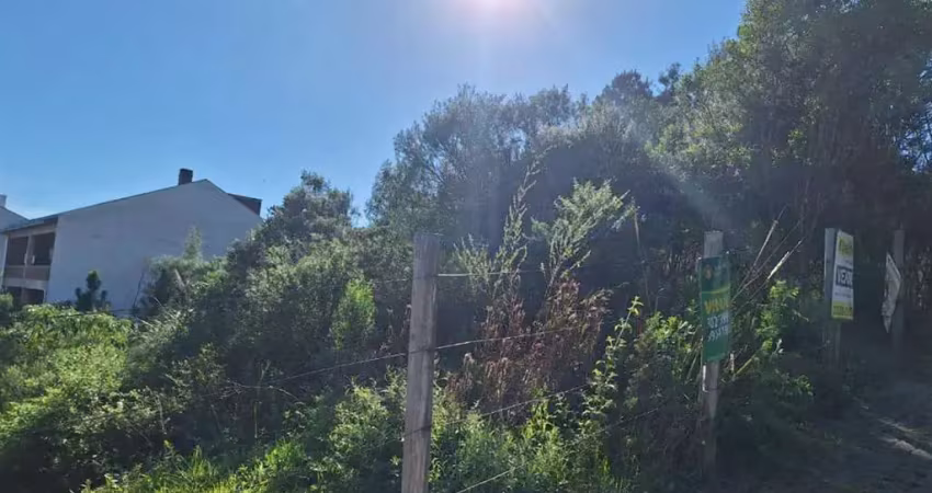 Terreno à venda na Ana Rech, Caxias do Sul 