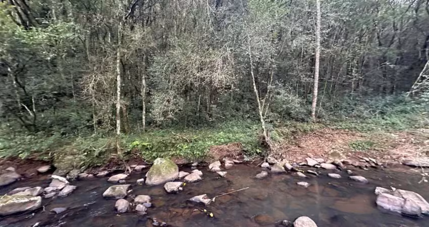 Chácara / sítio à venda no Caravaggio, Farroupilha 