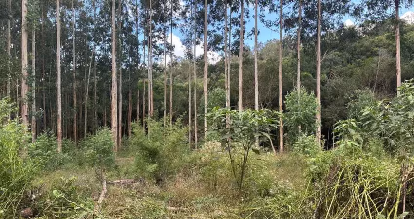 Chácara / sítio à venda no Caravaggio, Farroupilha 