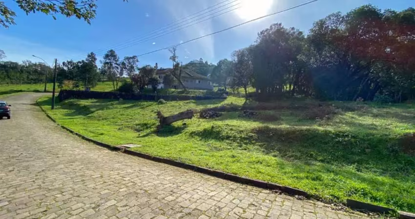 Terreno à venda na Nossa Senhora da Saúde, Caxias do Sul 