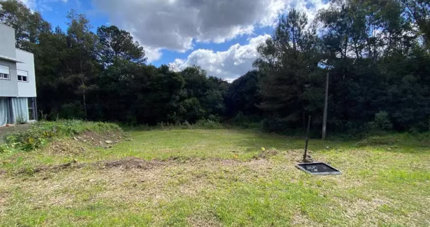 Terreno à venda no Cruzeiro, Farroupilha 