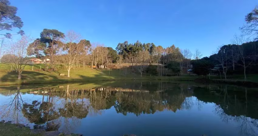 Chácara / sítio com 2 quartos à venda na Zona Rural, Farroupilha 