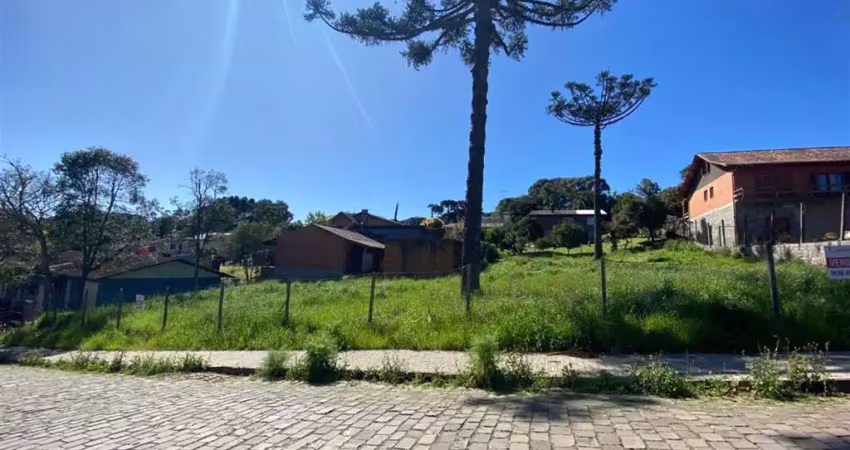 Terreno à venda na Ana Rech, Caxias do Sul 