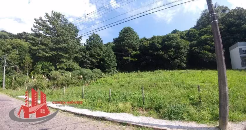 Terreno à venda no Altos do Seminário, Caxias do Sul 