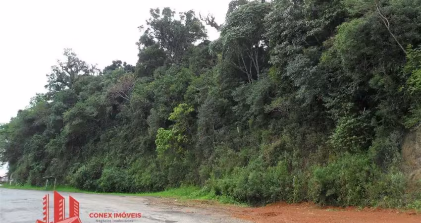 Terreno à venda na Nossa Senhora das Graças, Caxias do Sul 