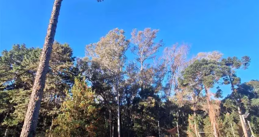 Terreno à venda na Nossa Senhora da Saúde, Caxias do Sul 