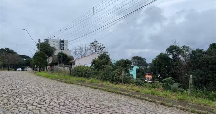 Terreno à venda no Desvio Rizzo, Caxias do Sul 