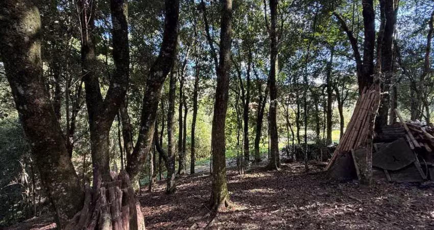 Terreno á venda no bairro salgado filho em caxias do sul!
- conta