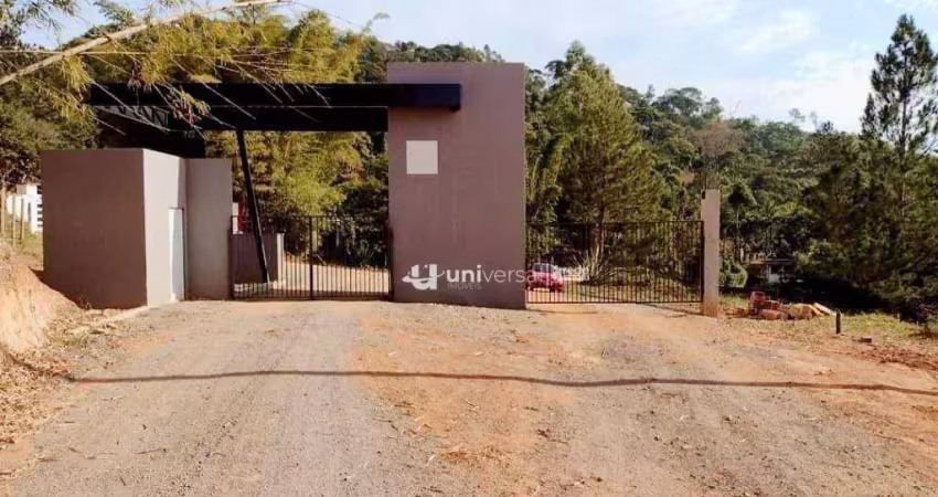 Terreno à venda, 20000 m² por r$ 149.000,00 - santa cruz - juiz de fora/mg