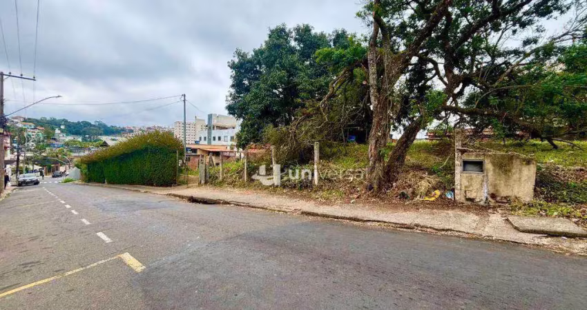 Terreno plano com 1.601m² a 65m da avenida presidente costa e silva