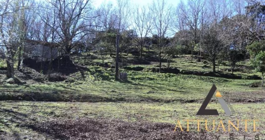 Terrenos no bairro São Caetano