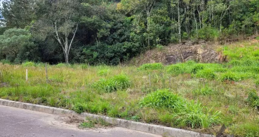 Terreno à venda no Desvio Rizzo, Caxias do Sul 