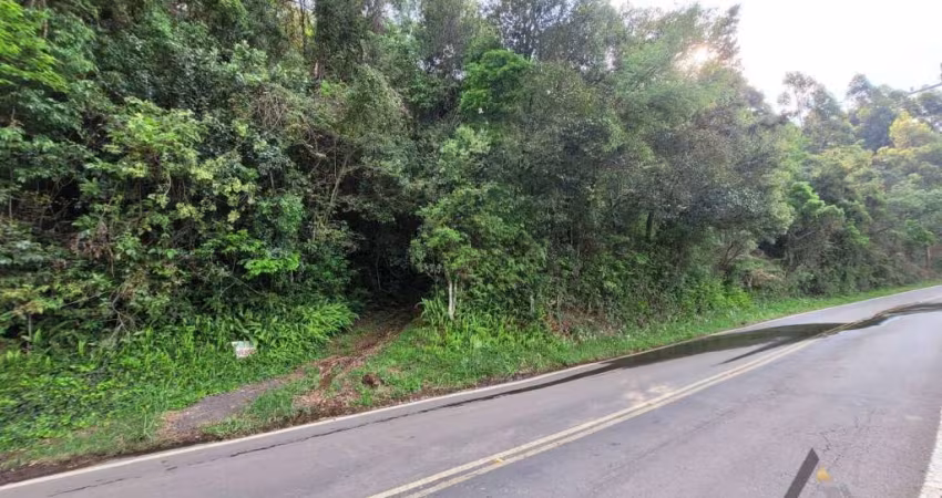 Área de Terra -  Bairro Nossa Senhora da Saúde