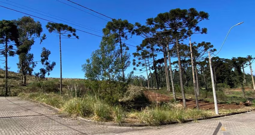 Terreno de esquina em Ana Rech